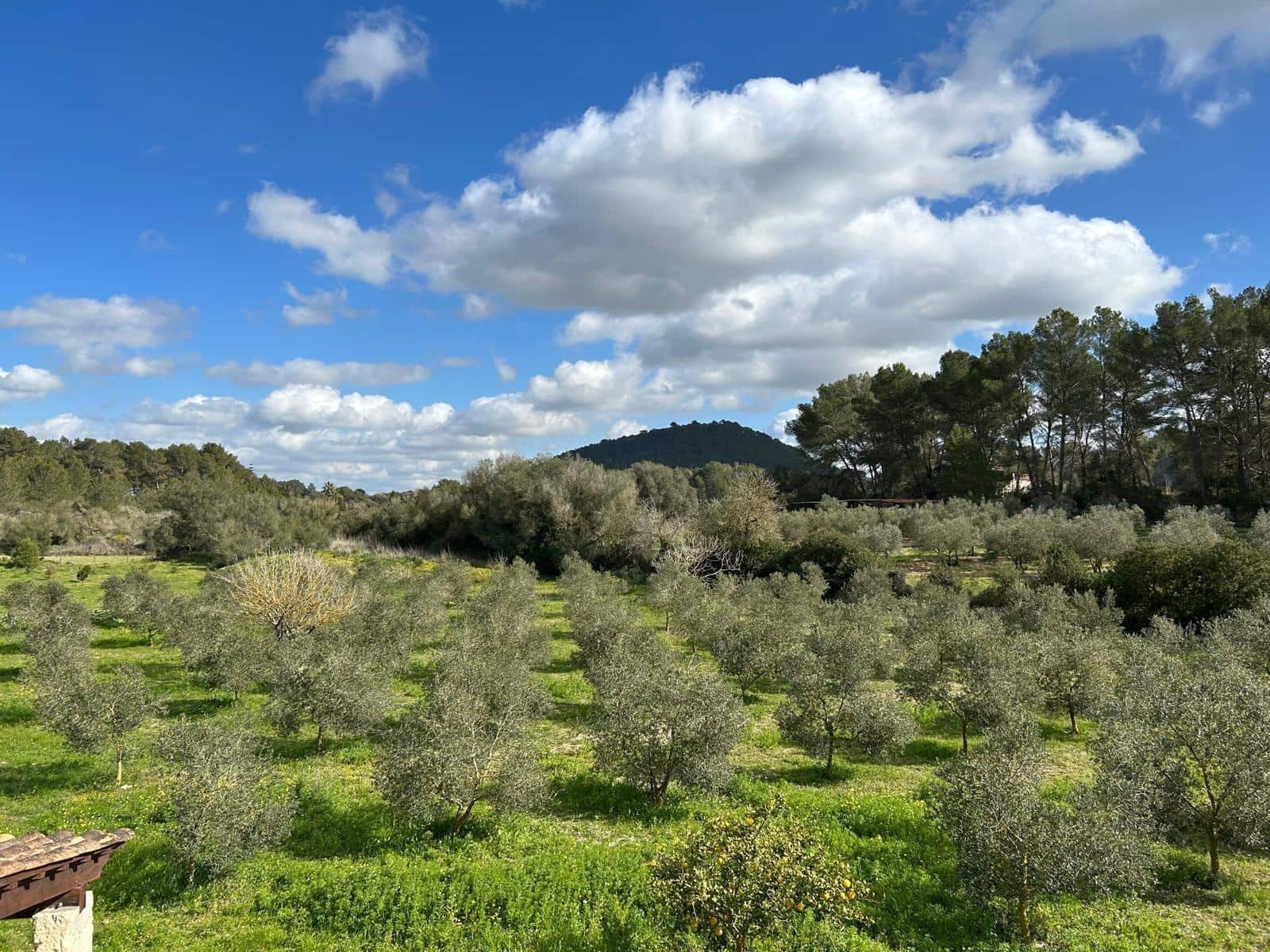 2 bedroom Finca/Country House for sale in Algaida - € 690,000 (Ref: 8838652)