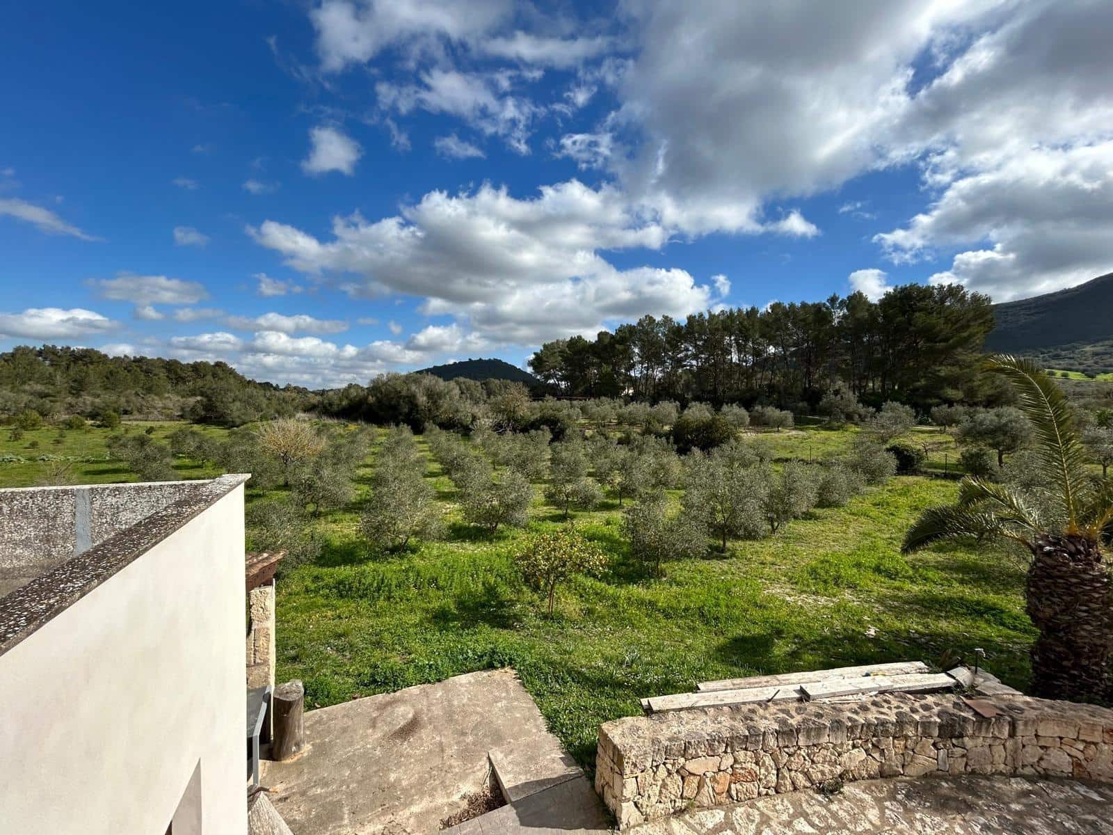 2 bedroom Finca/Country House for sale in Algaida - € 690,000 (Ref: 8838652)