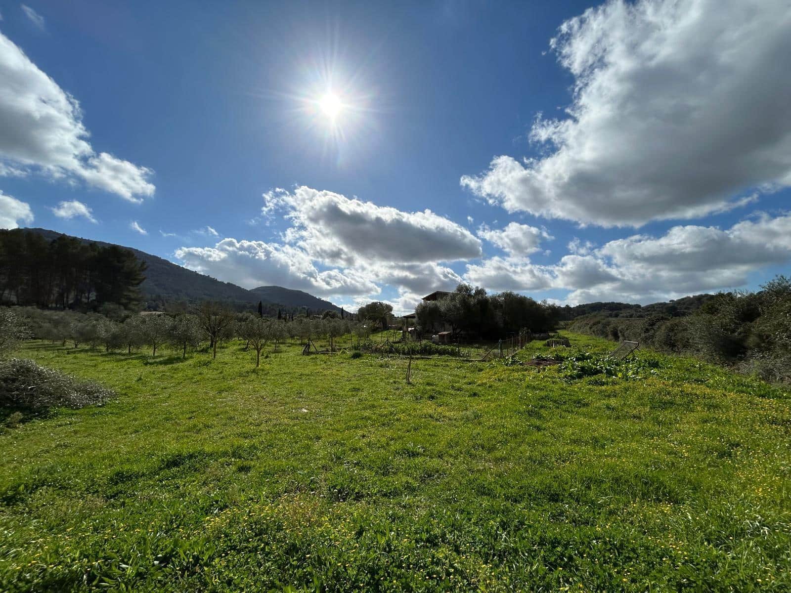 2 bedroom Finca/Country House for sale in Algaida - € 690,000 (Ref: 8838652)