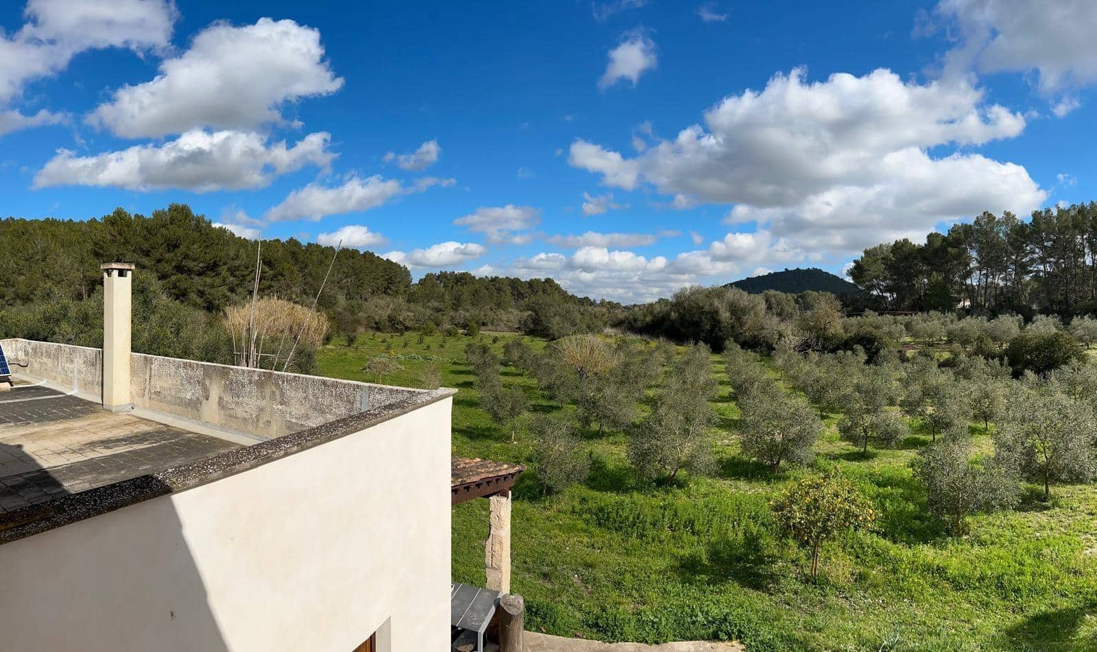 2 bedroom Finca/Country House for sale in Algaida - € 690,000 (Ref: 8838652)
