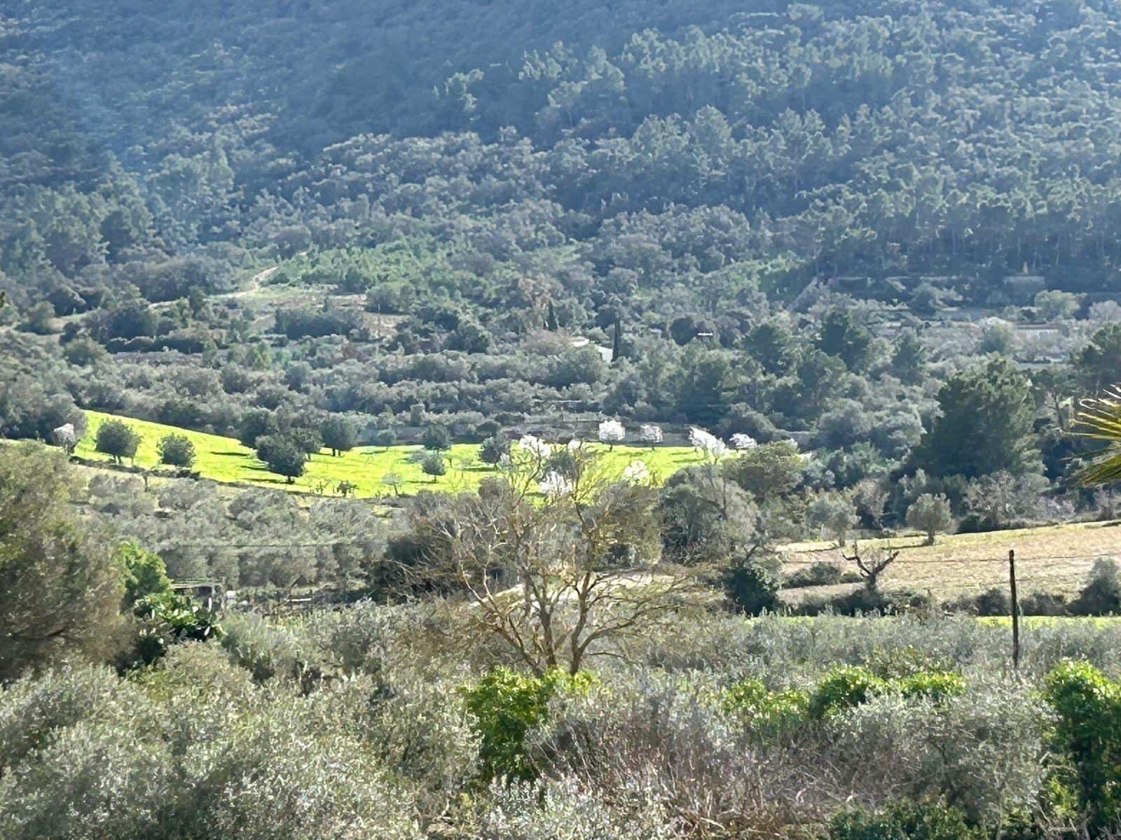 2 bedroom Finca/Country House for sale in Algaida - € 690,000 (Ref: 8838652)