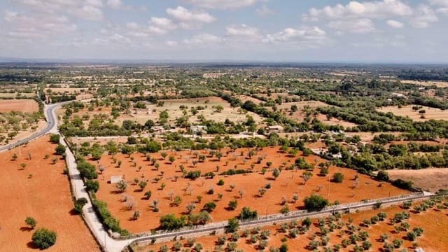 Undeveloped Land for sale in Llucmajor - € 240,000 (Ref: 8851691)