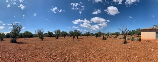 Undeveloped Land for sale in Llucmajor - € 240,000 (Ref: 8851691)