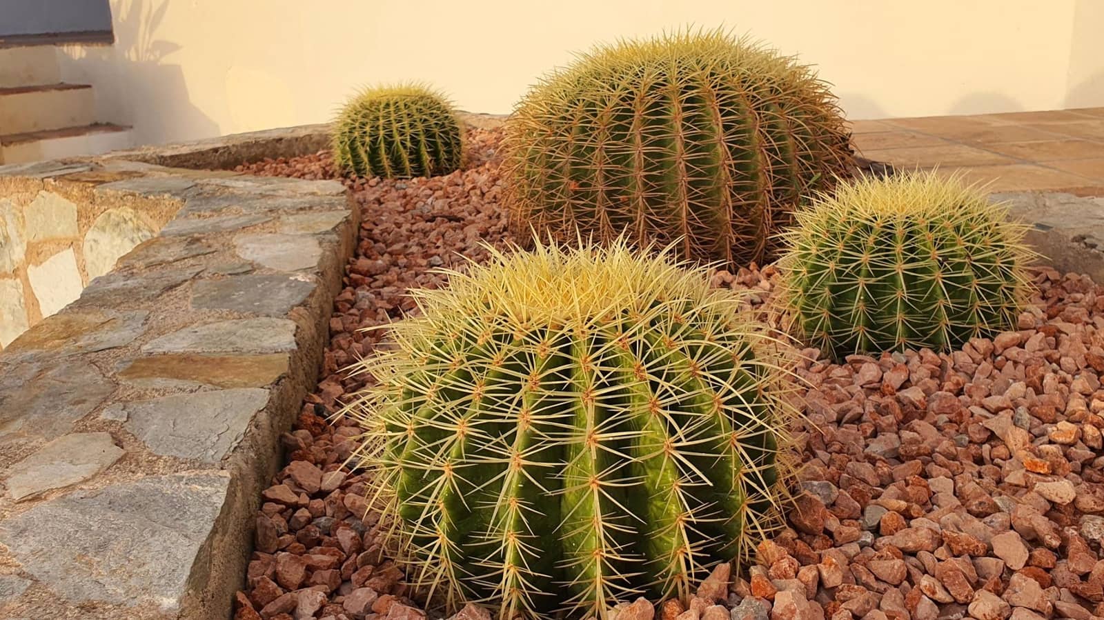 Chalet de 3 habitaciones en Cala Pi en venta con piscina - 2.490.000 € (Ref: 8869727)