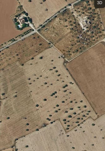 Terre non Aménagée à vendre à Campos - 429 000 € (Ref: 9200487)