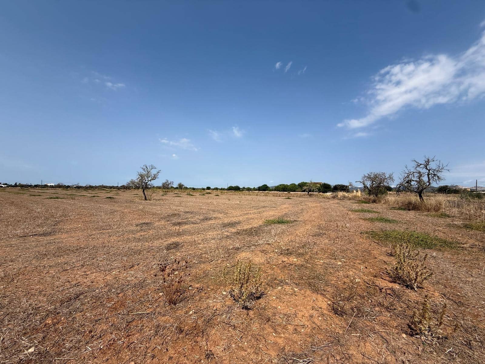 Grunde uden byggetilladelser til salg i Campos - € 429.000 (Ref: 9200487)