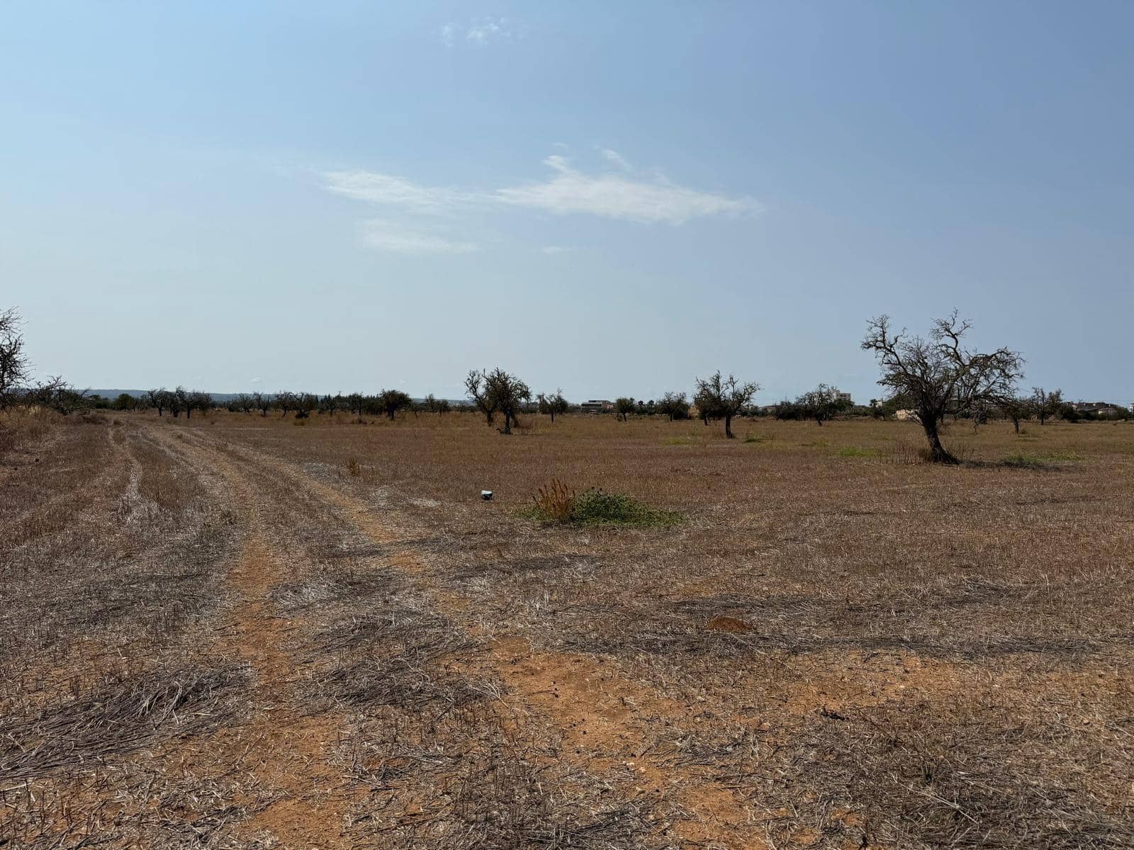 Grunde uden byggetilladelser til salg i Campos - € 429.000 (Ref: 9200487)