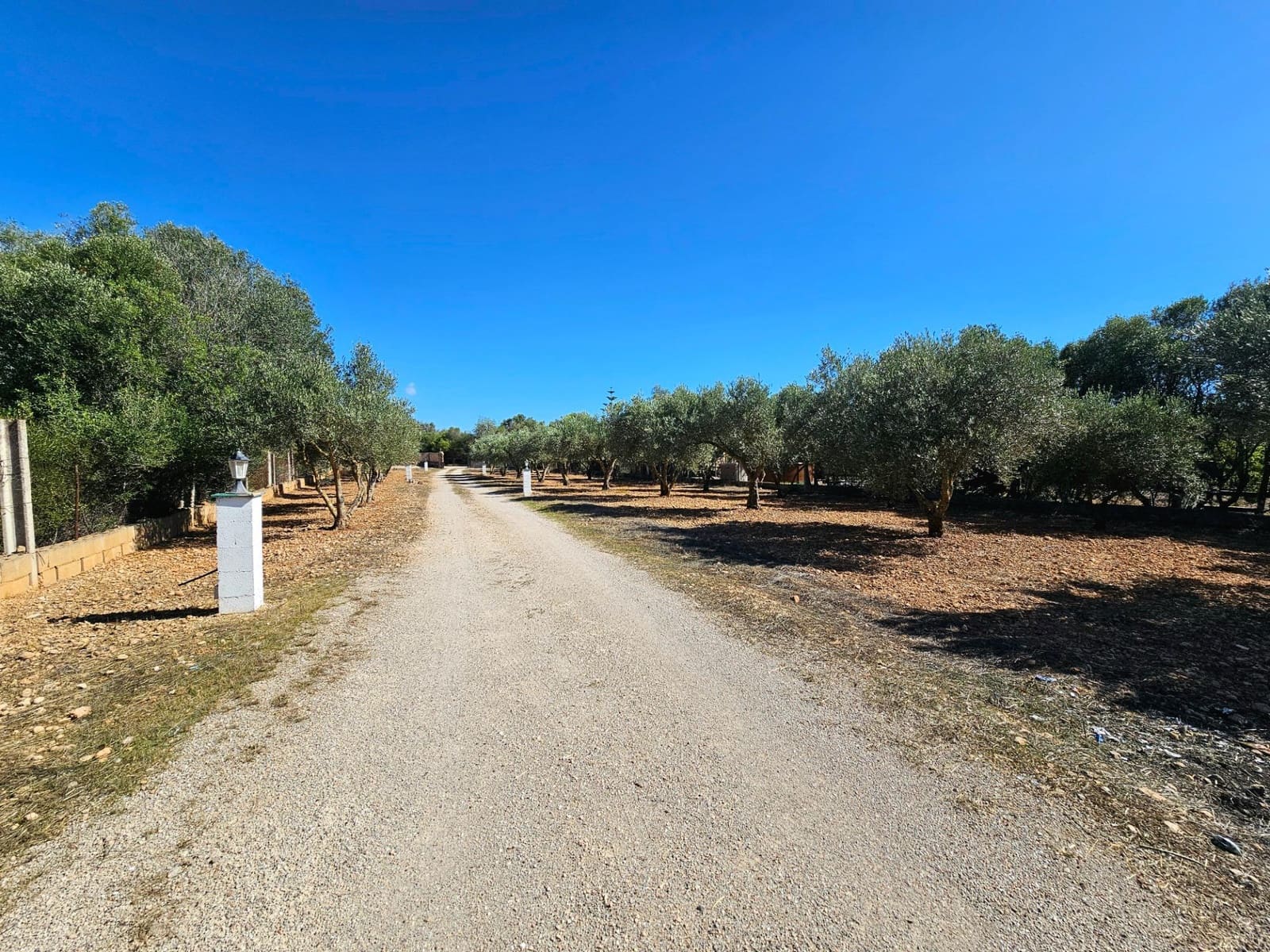 4 Zimmer Finca/Landgut zu verkaufen in Llucmajor - 420.000 € (Ref: 9288210)