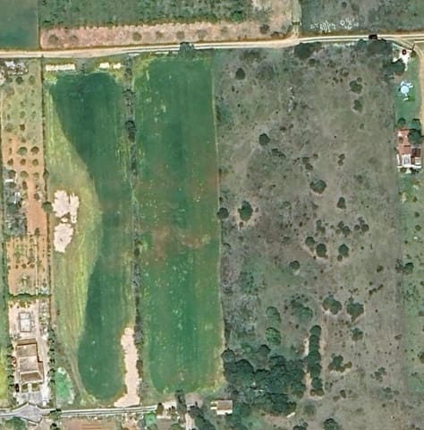 Mark till salu i Algaida - 150 000 € (Ref: 9374076)