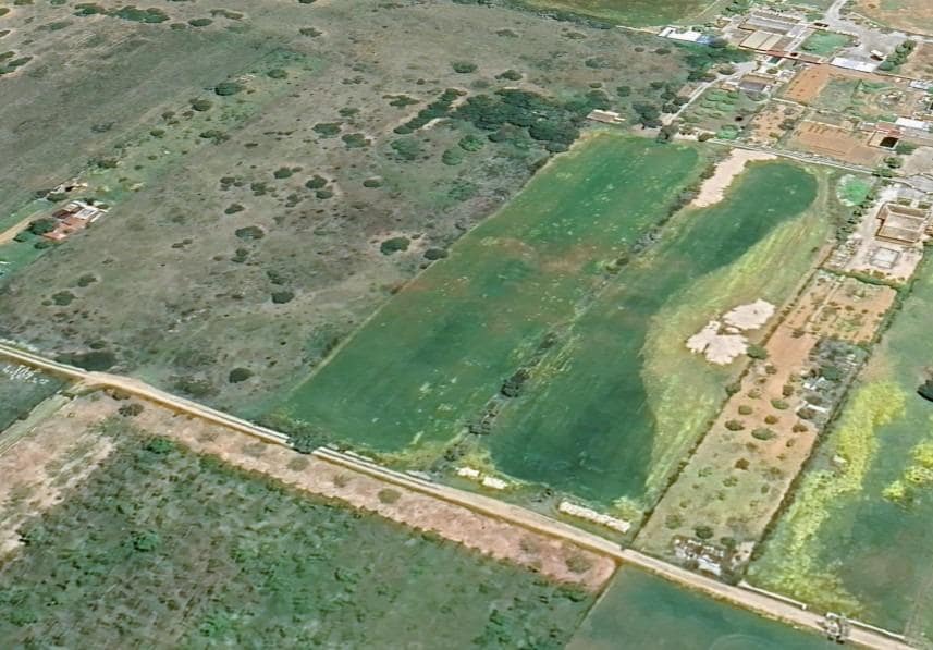 Mark till salu i Algaida - 150 000 € (Ref: 9374076)