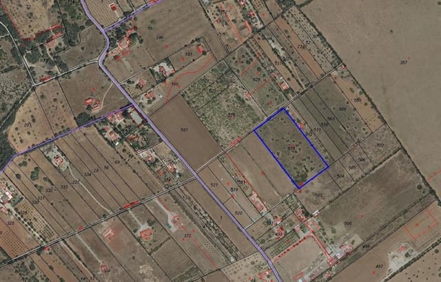 Mark till salu i Algaida - 150 000 € (Ref: 9374076)