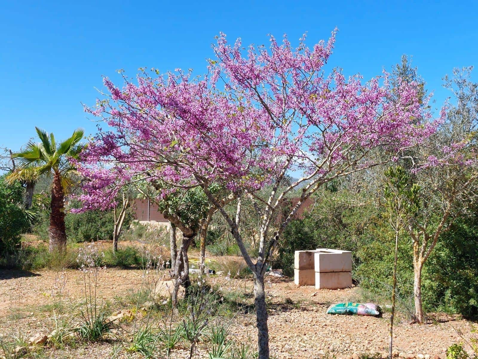 Finca/Landhuis te koop in Llucmajor - € 212.100 (Ref: 9433436)