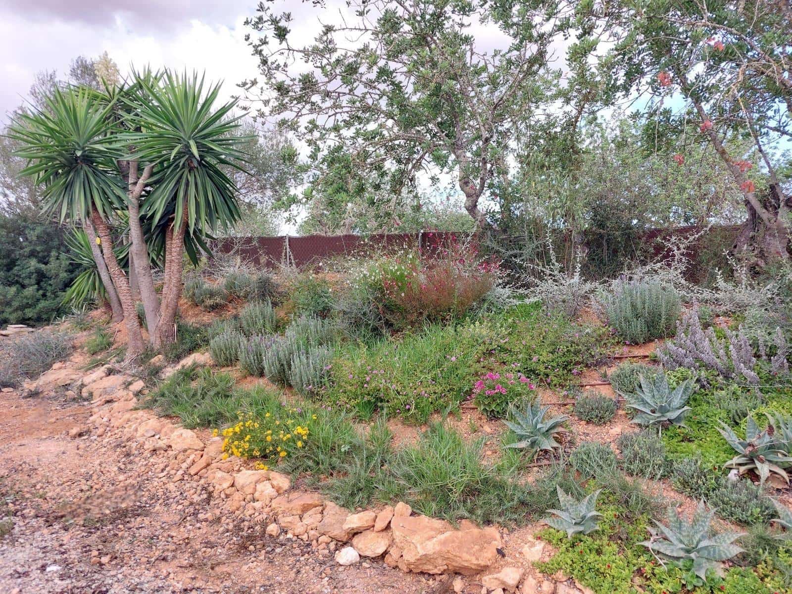 Finca/Landhuis te koop in Llucmajor - € 212.100 (Ref: 9433436)