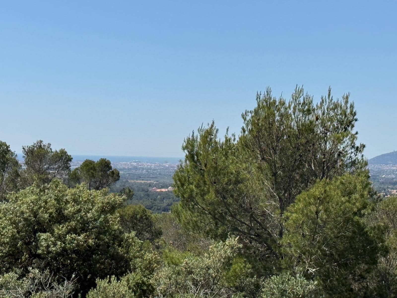 Finca/Country House for sale in Bunyola - € 2,650,000 (Ref: 9839273)
