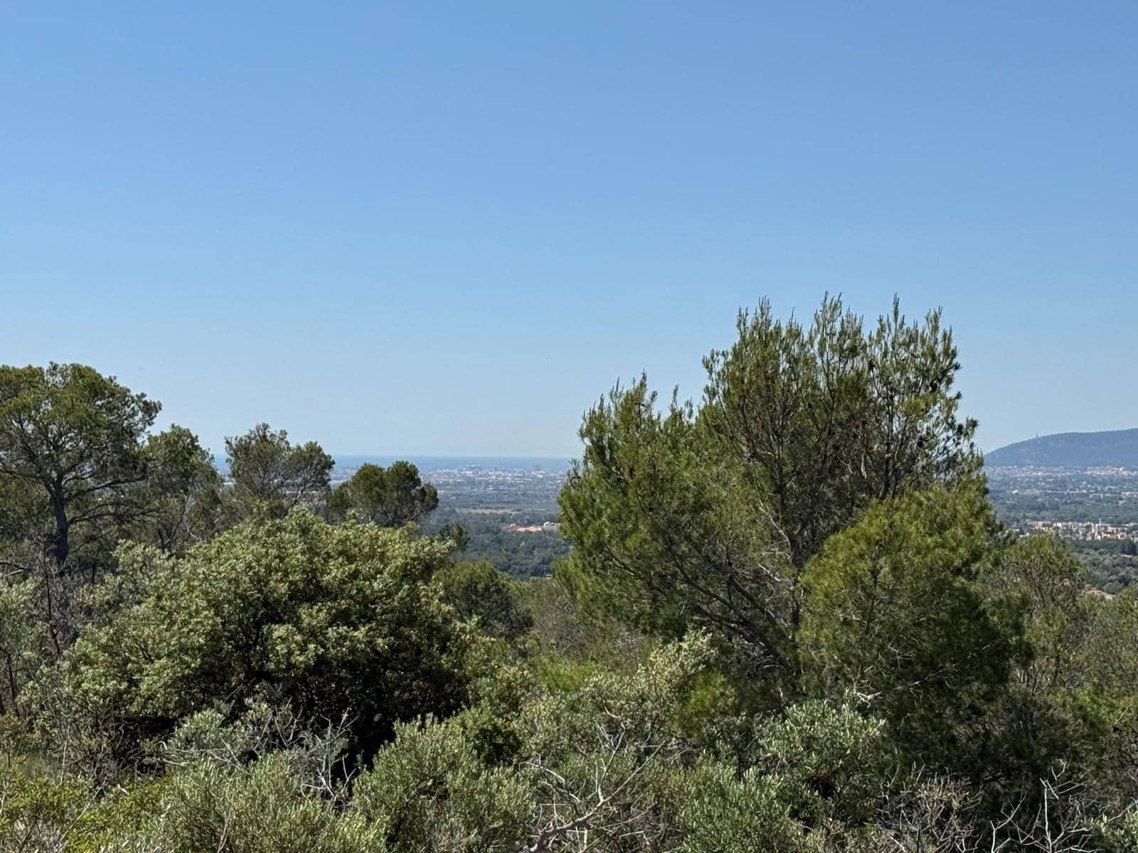 Finca/Country House for sale in Bunyola - € 2,650,000 (Ref: 9839273)