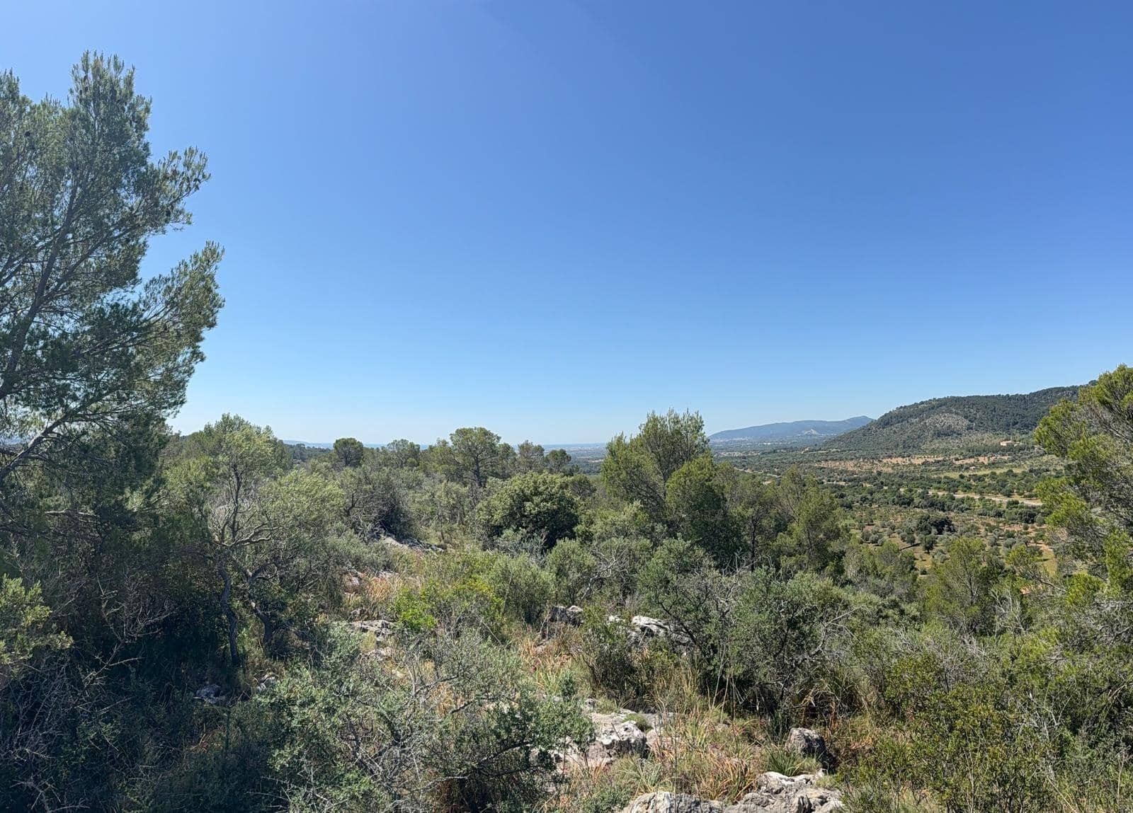 Finca/Country House for sale in Bunyola - € 2,650,000 (Ref: 9839273)