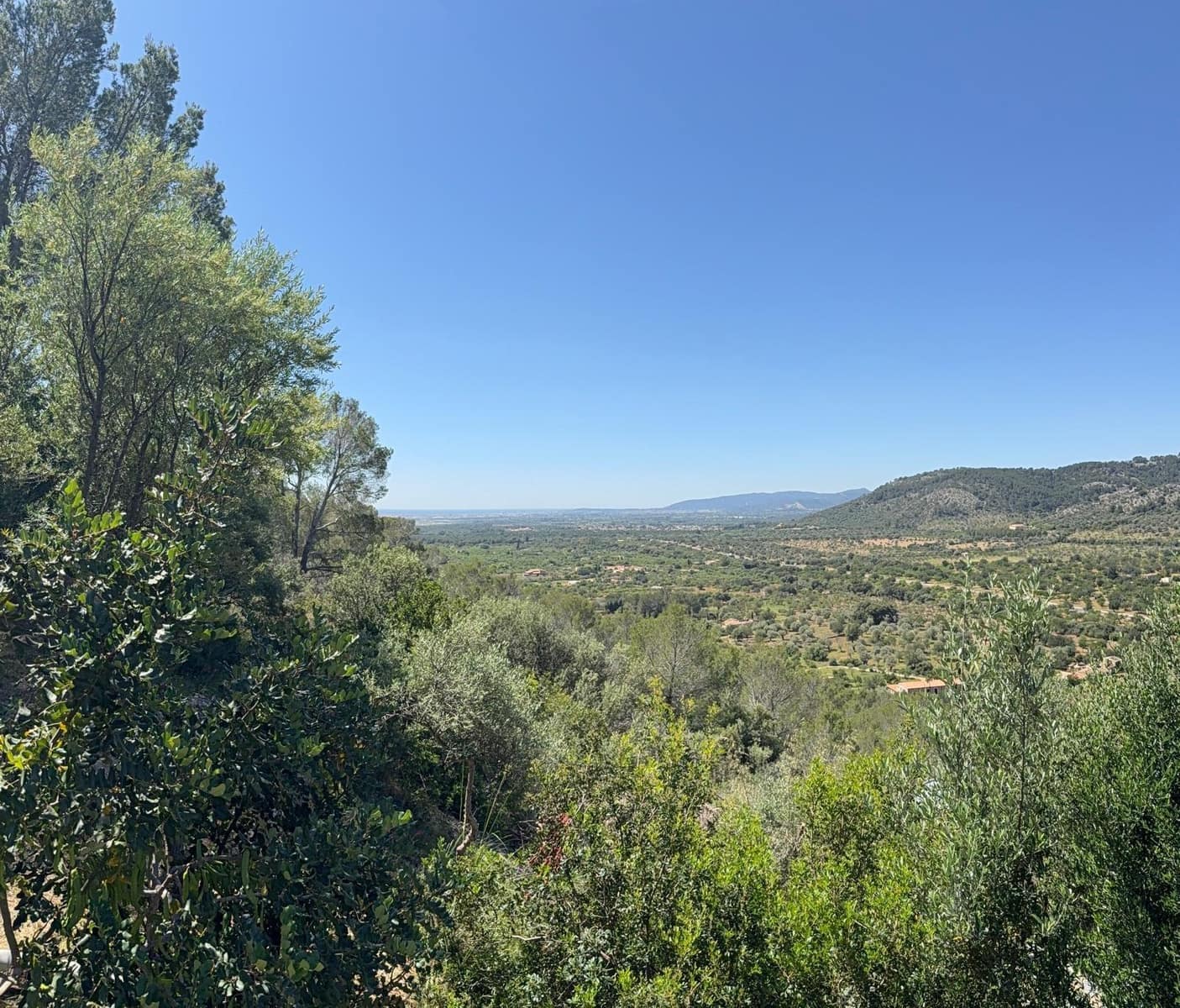 Finca/Country House for sale in Bunyola - € 2,650,000 (Ref: 9839273)