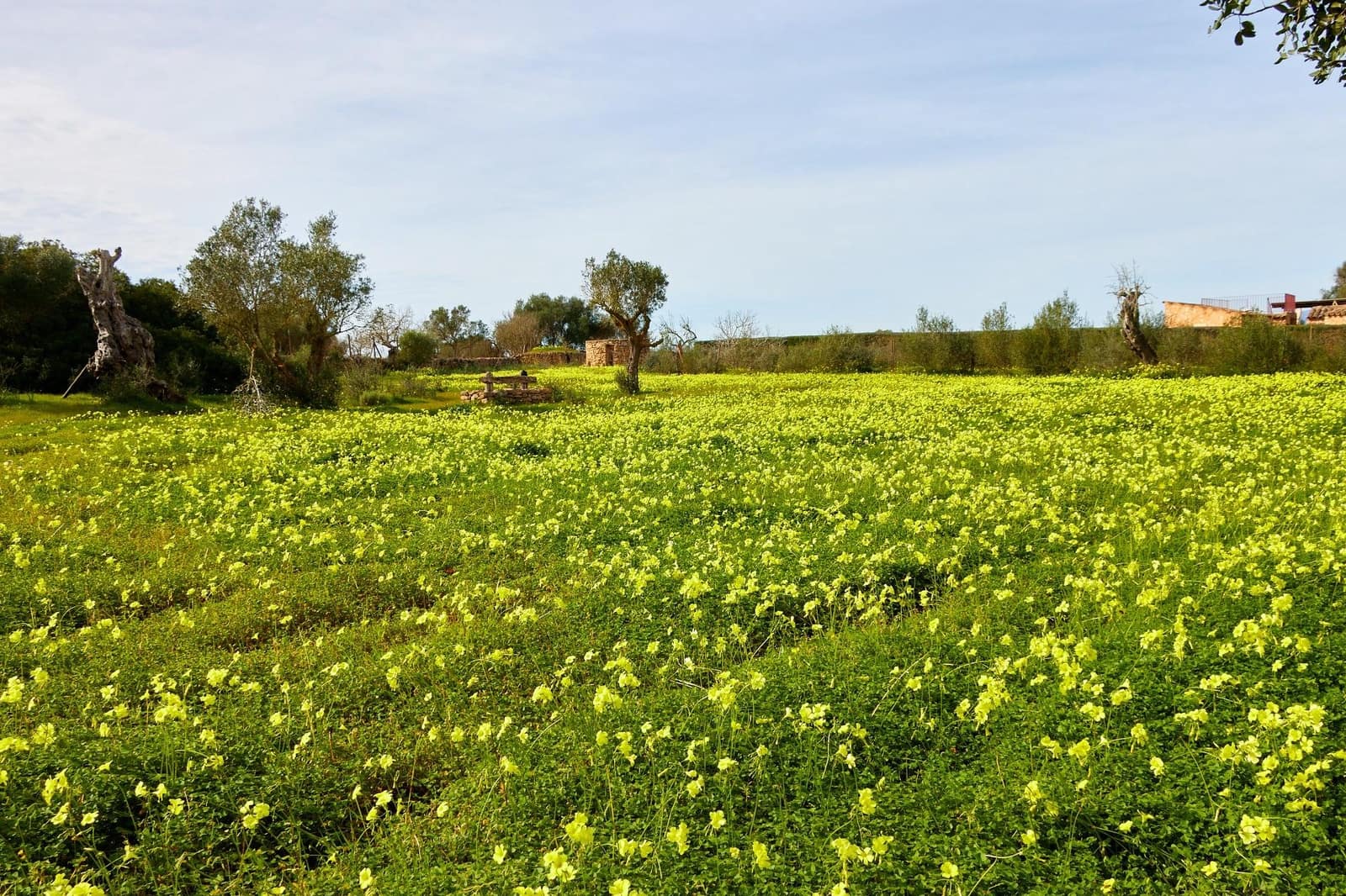 5 soverom Finca/Herregård til salgs i Algaida - € 3 260 000 (Ref: 9861876)