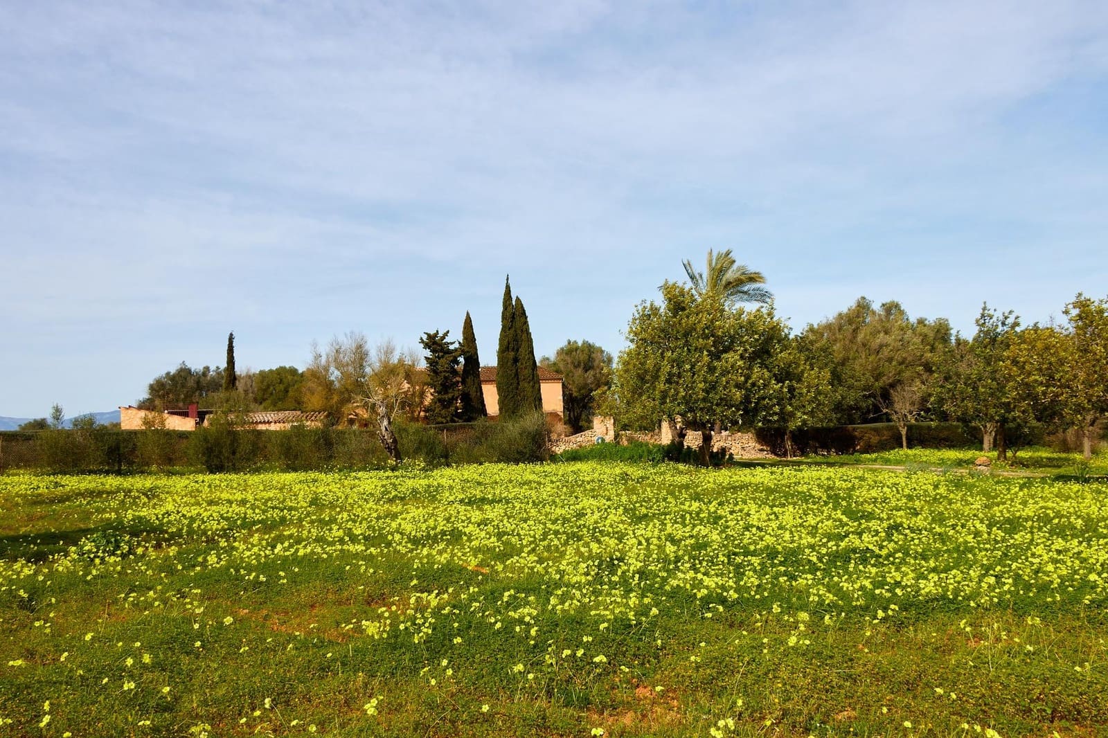 5 soverom Finca/Herregård til salgs i Algaida - € 3 260 000 (Ref: 9861876)