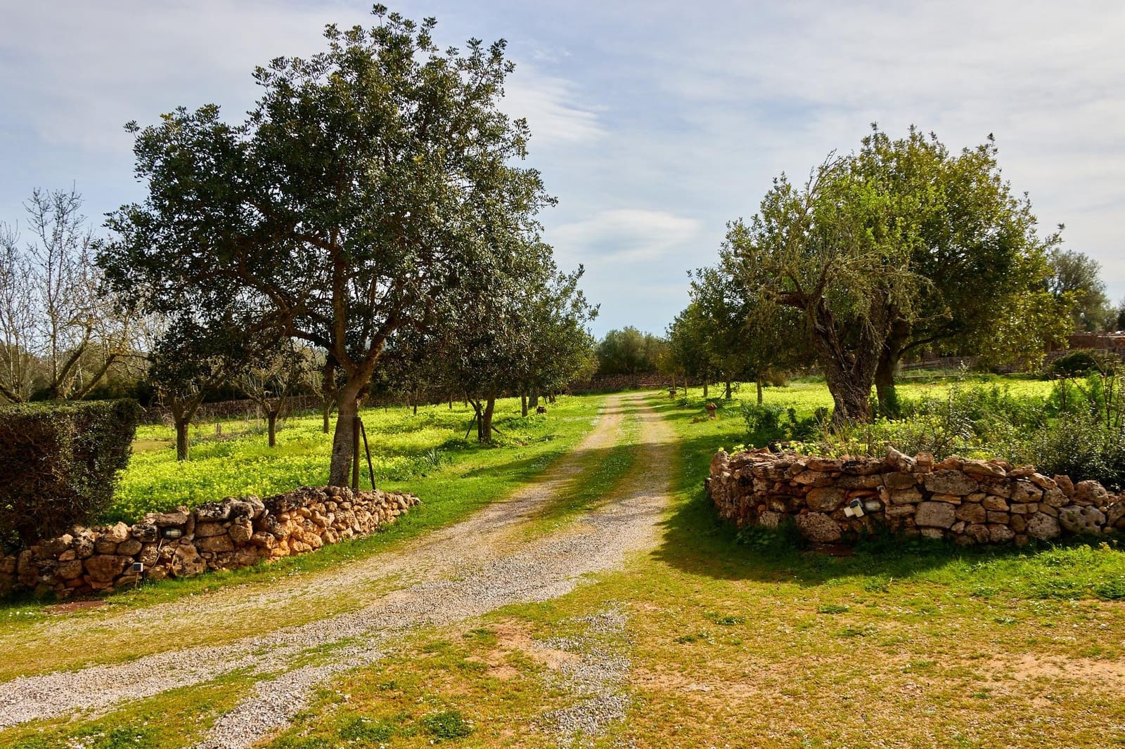 5 soverom Finca/Herregård til salgs i Algaida - € 3 260 000 (Ref: 9861876)