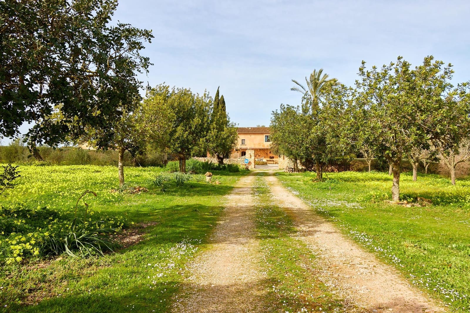 5 soverom Finca/Herregård til salgs i Algaida - € 3 260 000 (Ref: 9861876)