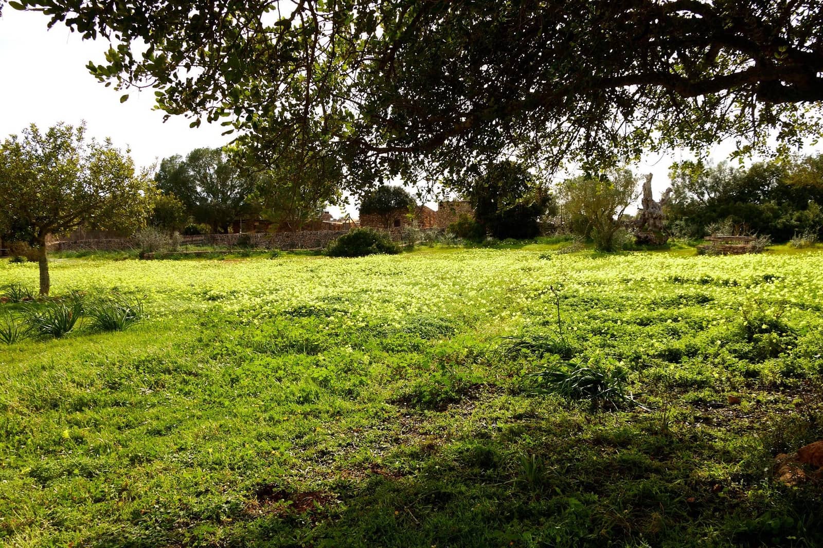 5 soverom Finca/Herregård til salgs i Algaida - € 3 260 000 (Ref: 9861876)