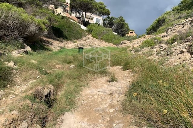 Undeveloped Land for sale in Costa de la Calma, Calvià - € 1,100,000 (Ref: 8115487)