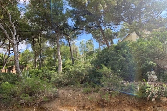 Undeveloped Land for sale in Costa de la Calma, Calvià - € 1,100,000 (Ref: 8115487)