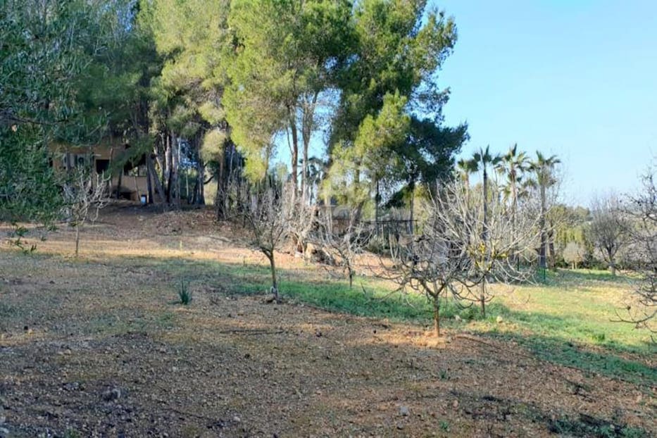 6 soveværelse Villa til salg i Cala Vinyes / Cala Vinyas / Cala Vinas - € 1.500.000 (Ref: 8115489)