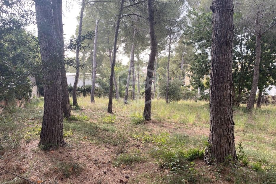 Grunde uden byggetilladelser til salg i Calafell - € 850.000 (Ref: 8115528)