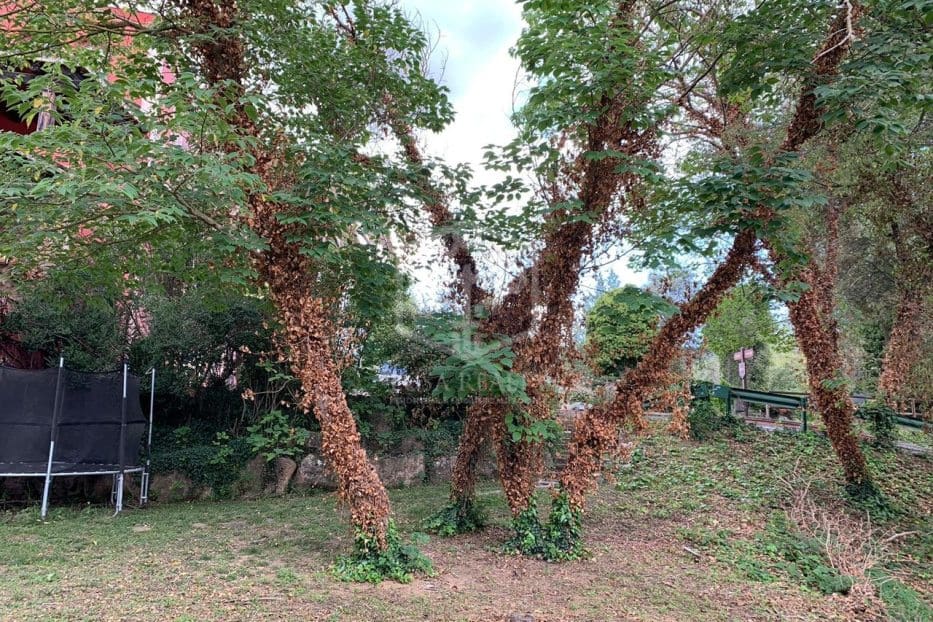 12 soverom Hotell til salgs i Barcelona by med svømmebasseng - € 2 600 000 (Ref: 8115617)