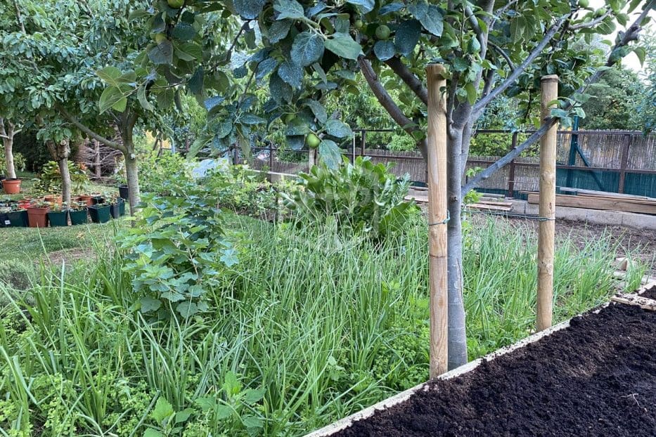 3 sovrum Villa till salu i Sant Andreu de Llavaneres med pool garage - 2 000 000 € (Ref: 8115645)