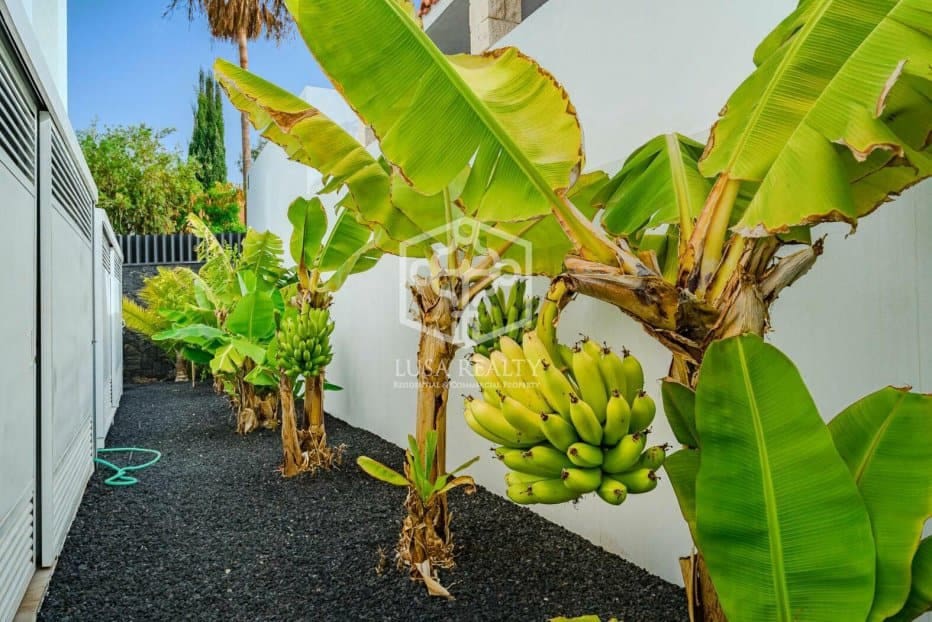 4 Zimmer Villa zu verkaufen in Adeje - 2.500.000 € (Ref: 8488380)