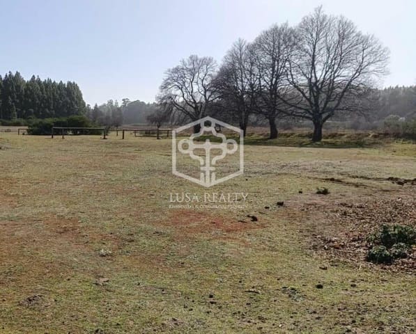 Villa til salgs i La Matanza de Acentejo - € 6 350 000 (Ref: 8575531)