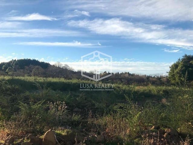 Villa til salgs i La Matanza de Acentejo - € 6 350 000 (Ref: 8575531)