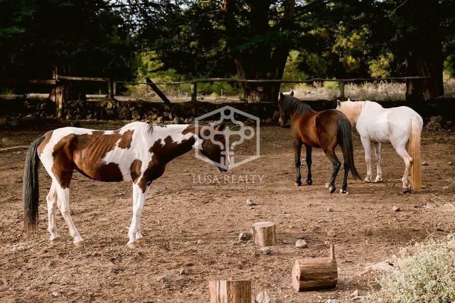 Villa til salgs i La Matanza de Acentejo - € 6 350 000 (Ref: 8575531)