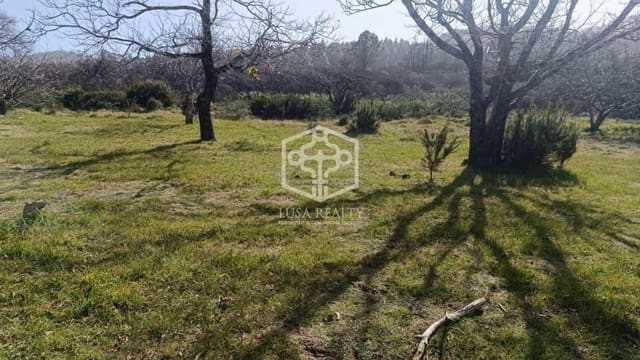 Villa til salgs i La Matanza de Acentejo - € 6 350 000 (Ref: 8575531)