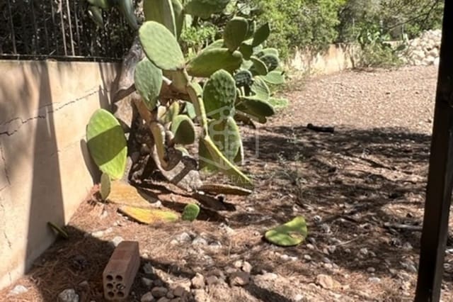 Teren niezagospodarowany na sprzedaż w Santa Ponsa, Calvià - 1 100 000 € (Ref: 8698855)