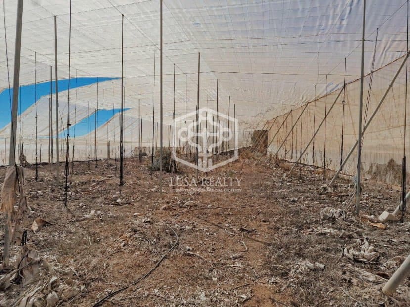 Ubebygd land til salgs i Guia de Isora - € 840 000 (Ref: 8698862)