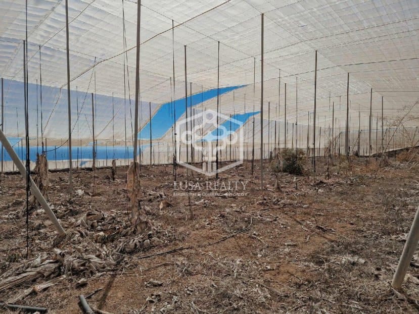 Ubebygd land til salgs i Guia de Isora - € 840 000 (Ref: 8698862)