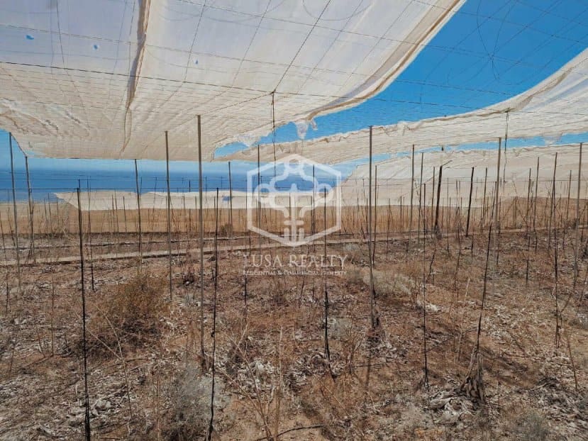 Ubebygd land til salgs i Guia de Isora - € 840 000 (Ref: 8698862)