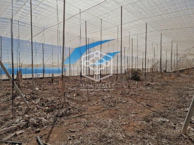 Terreno Non Edificato in vendita in Guía de Isora - 840.000 € (Rif: 8698862)