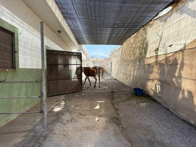 Finca/Landehus til salg i Arona - € 6.500.000 (Ref: 9307100)