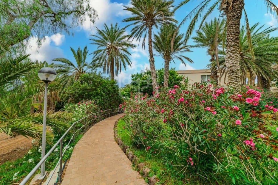 3 makuuhuone Huoneisto myytävänä paikassa Adeje - 1 050 000 € (Ref: 9604475)