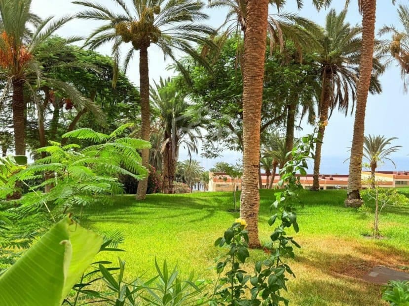 3 makuuhuone Huoneisto myytävänä paikassa Adeje - 1 050 000 € (Ref: 9604475)