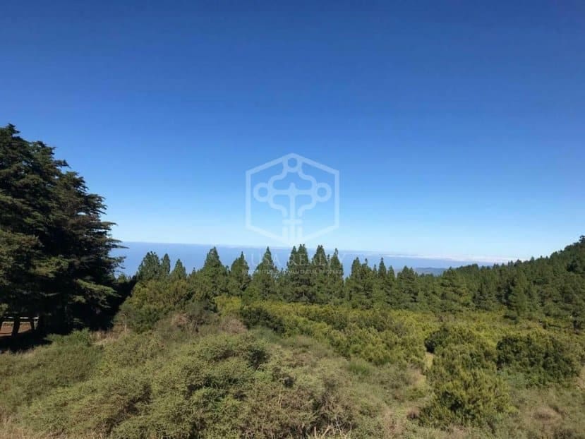 Villa for sale in La Matanza de Acentejo with pool - € 6,350,000 (Ref: 9788067)