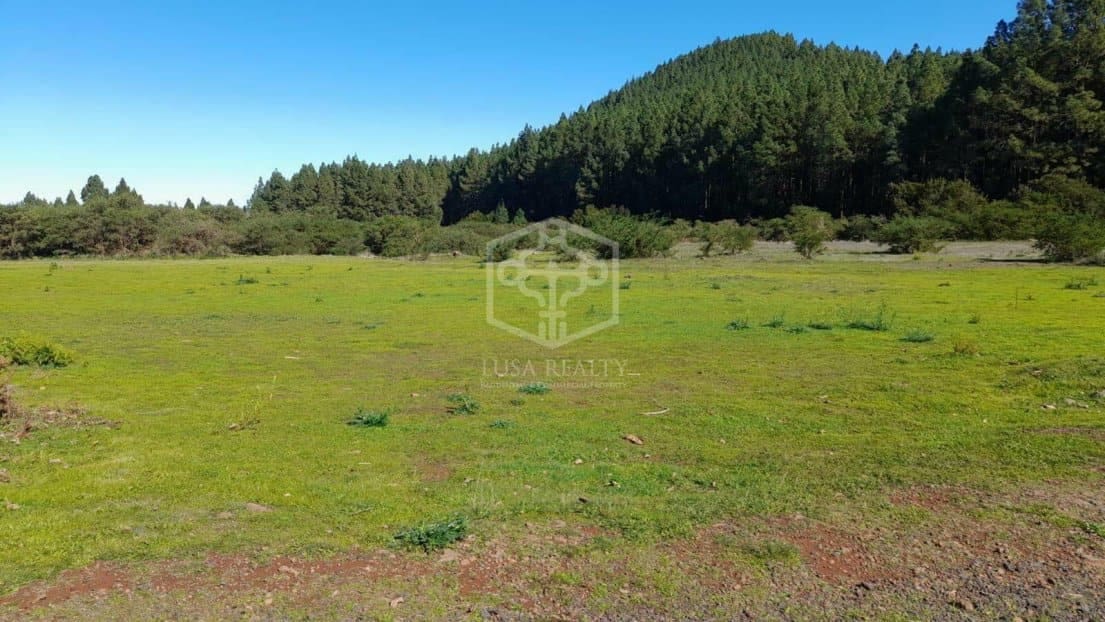 Villa for sale in La Matanza de Acentejo with pool - € 6,350,000 (Ref: 9788067)