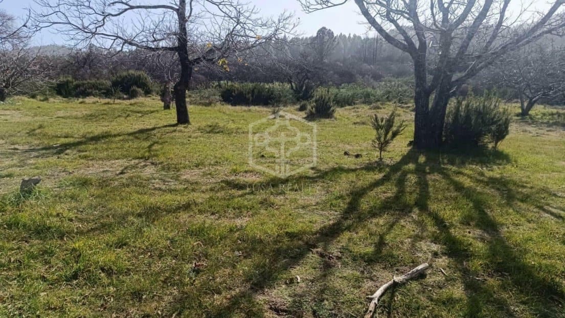 Villa for sale in La Matanza de Acentejo with pool - € 6,350,000 (Ref: 9788067)