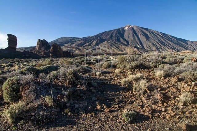 Empresa para venda em La Caldera, Adeje com piscina - 3 200 000 € (Ref: 9945007)