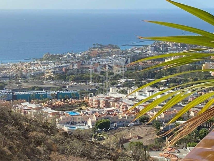 Empresa para venda em Adeje com piscina - 3 200 000 € (Ref: 9945007)